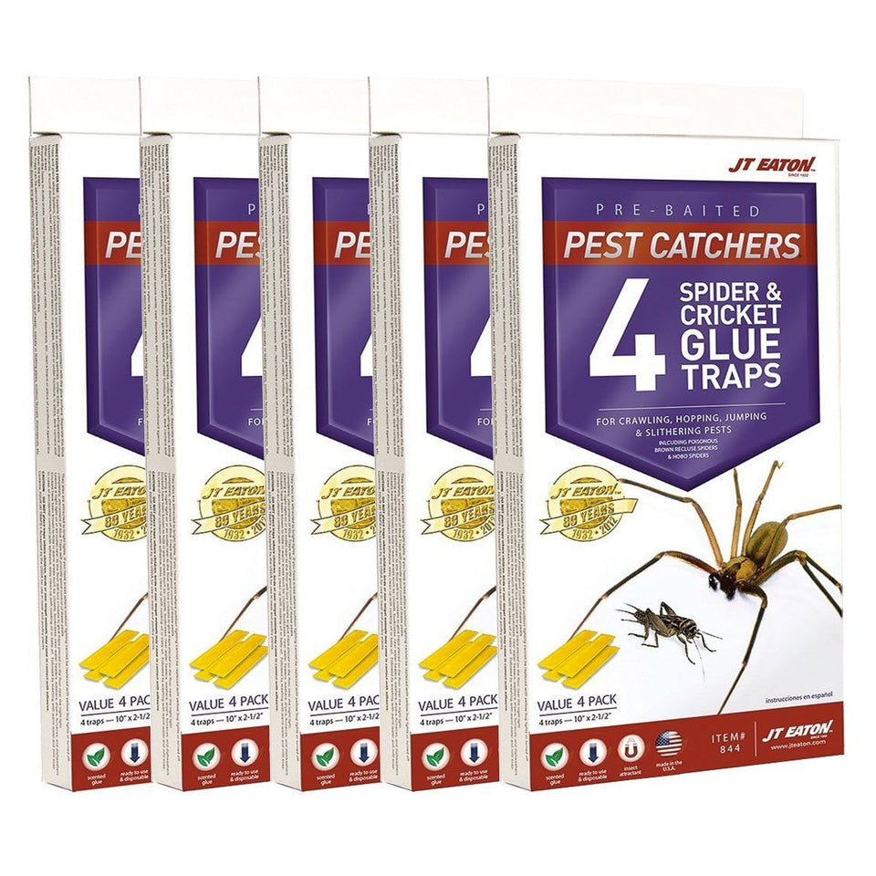 JT Eaton spider and cricket glue trap, pre-baited and ready for quick pest capture.