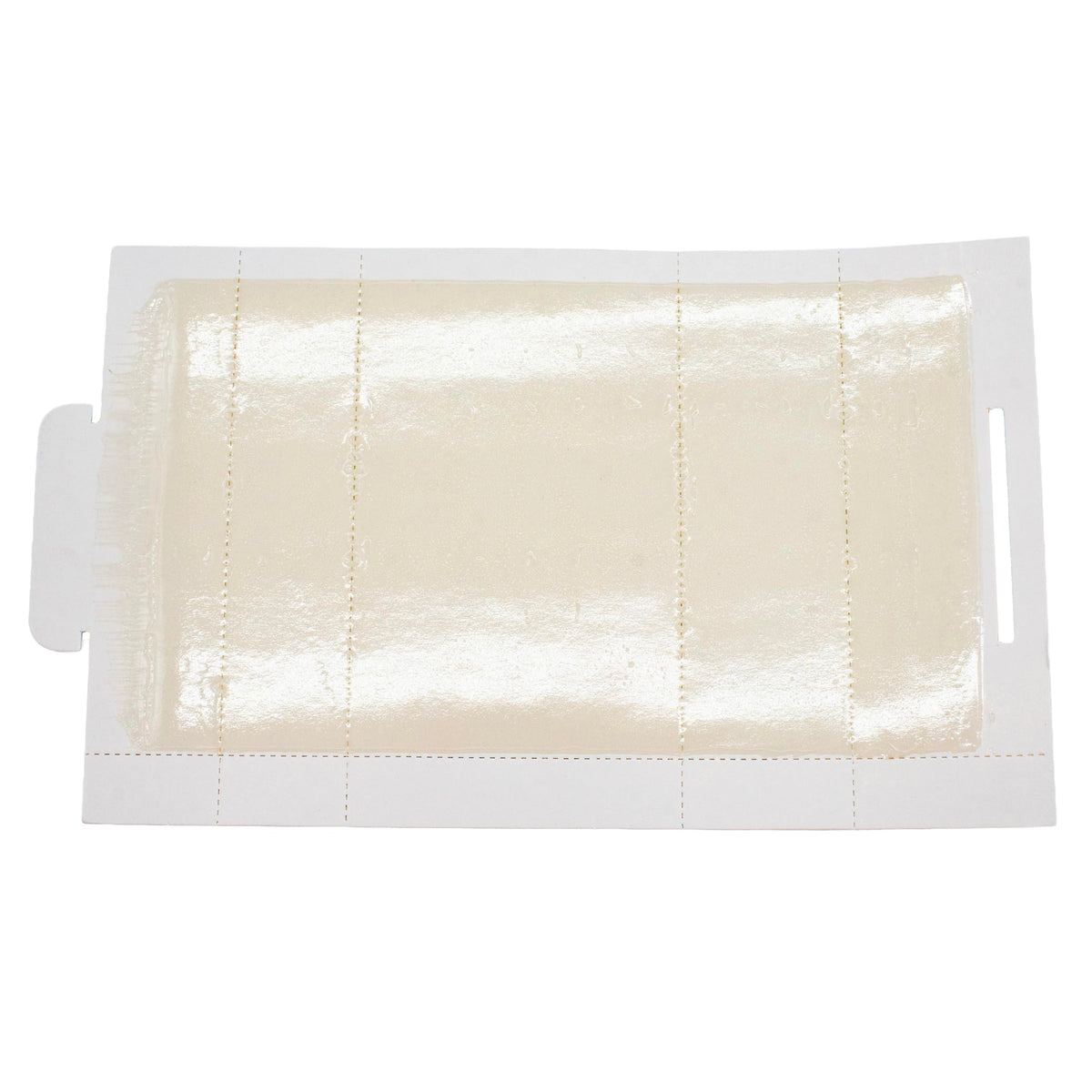 Non-toxic adhesive on Stick-Em trap safe around non-target animals