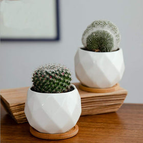 Jucoan 4-inch pot with drainage hole for healthy watering.