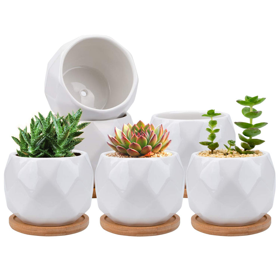 Jucoan 6-pack ceramic succulent pots on a clean desk for compact indoor display.