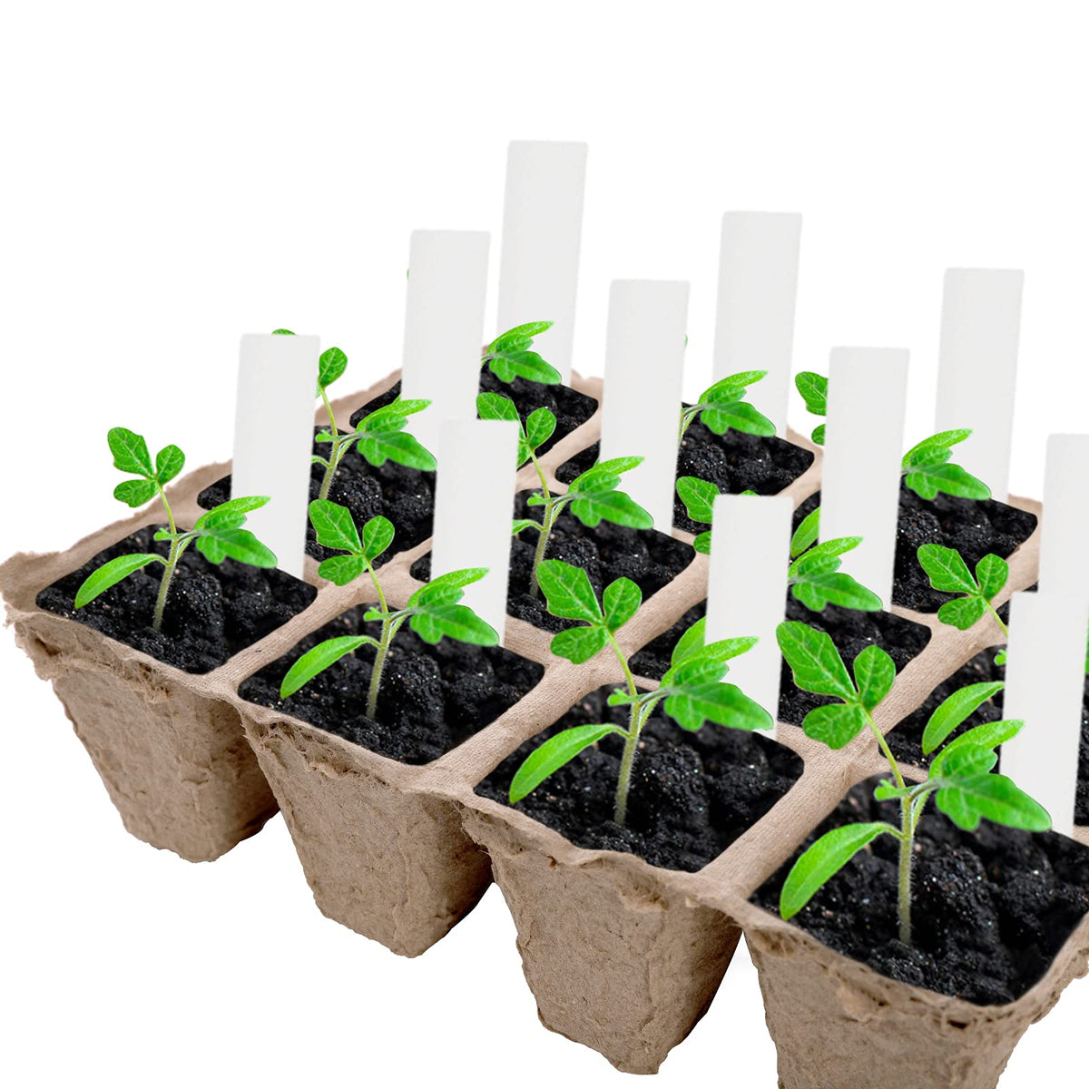 Jucoan plant labels included for seed tracking and labeling.