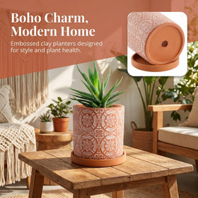 Jucoan terracotta pot side view reveals rustic texture