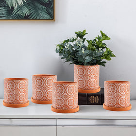Jucoan terracotta pot collection ready for plants