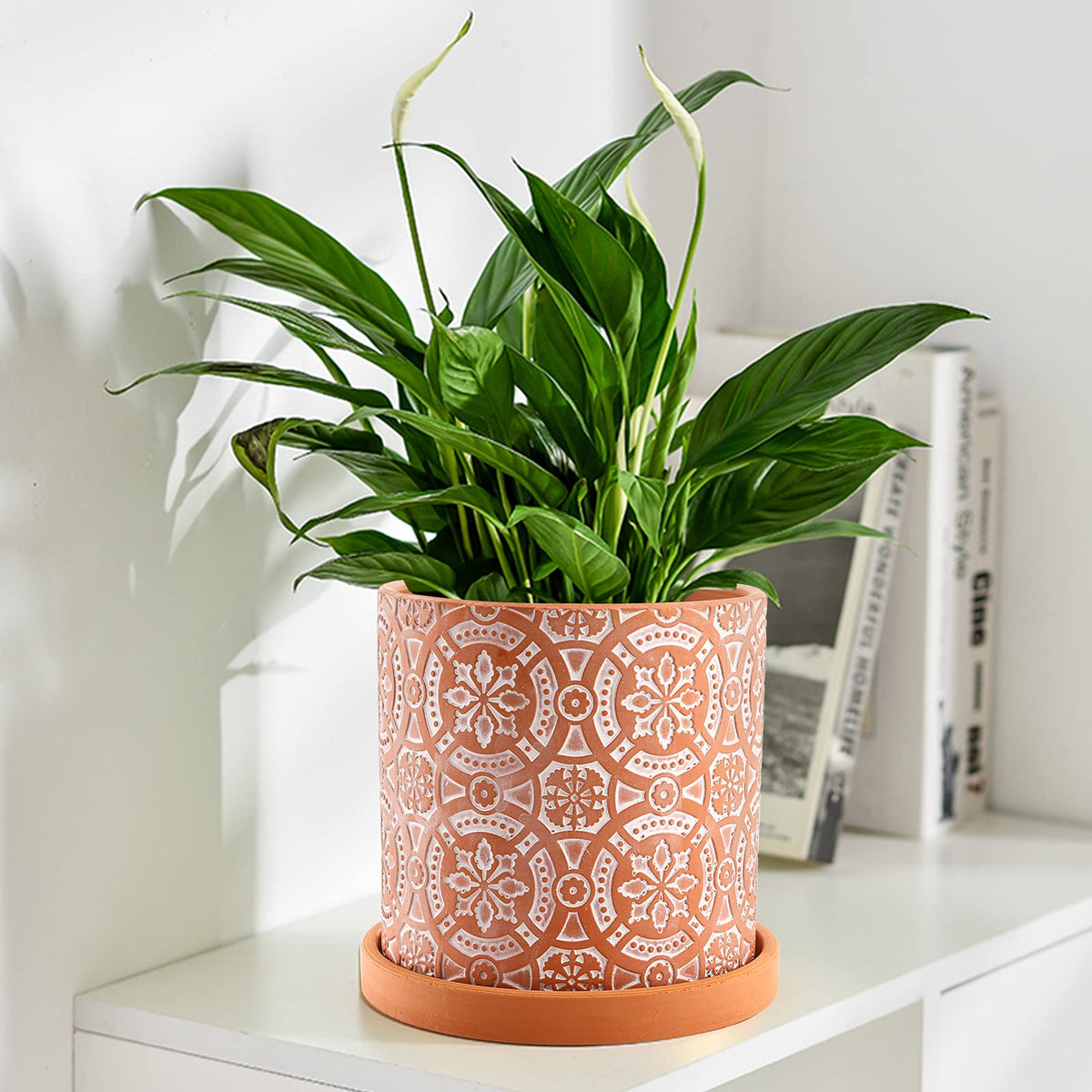 Jucoan terracotta pot suitable for indoor and outdoor display