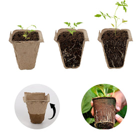 Jucoan tray allows transplanting directly into soil with minimal disturbance.