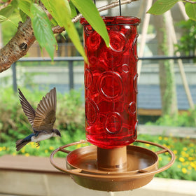 Juegoal waterer in garden attracts diverse birds beyond seed feeders.