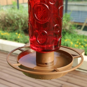 Juegoal glass waterer is easy to refill and clean for quick maintenance.