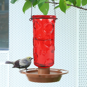 Juegoal Glass Wild Bird Waterer with 28 oz capacity attracts more birds to your garden.