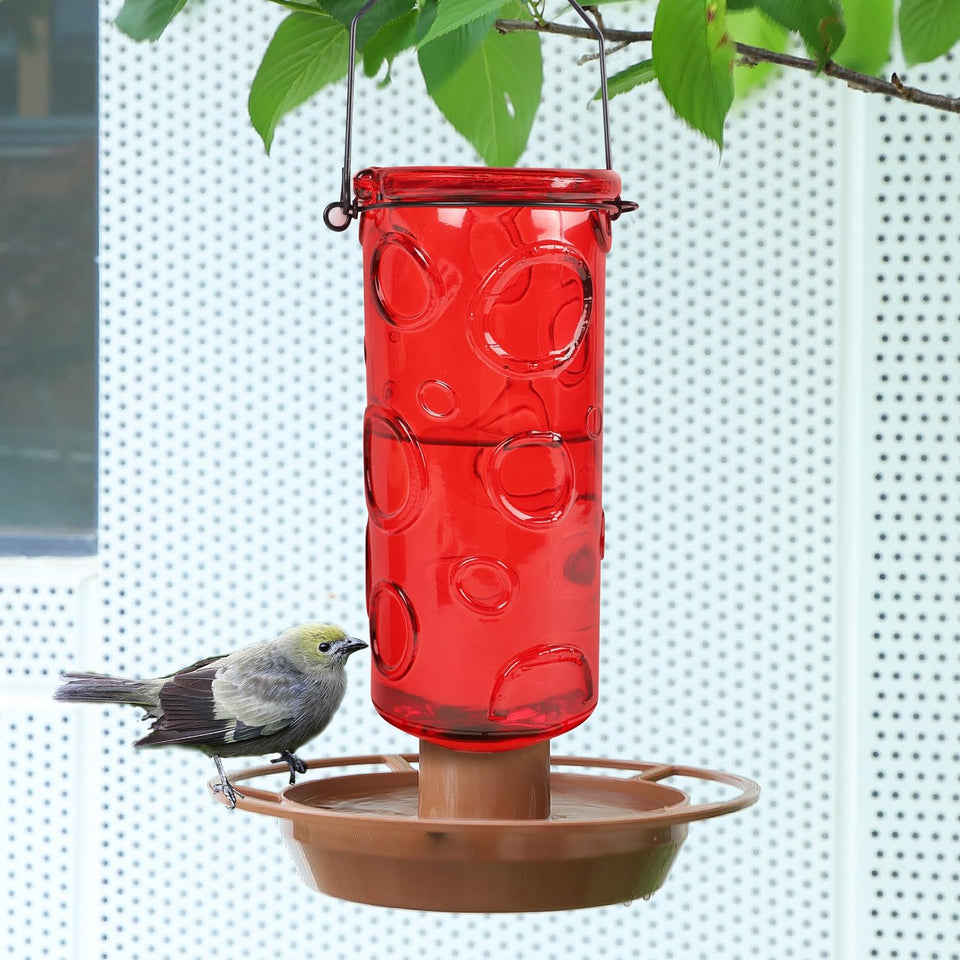 Juegoal Glass Wild Bird Waterer with 28 oz capacity attracts more birds to your garden.