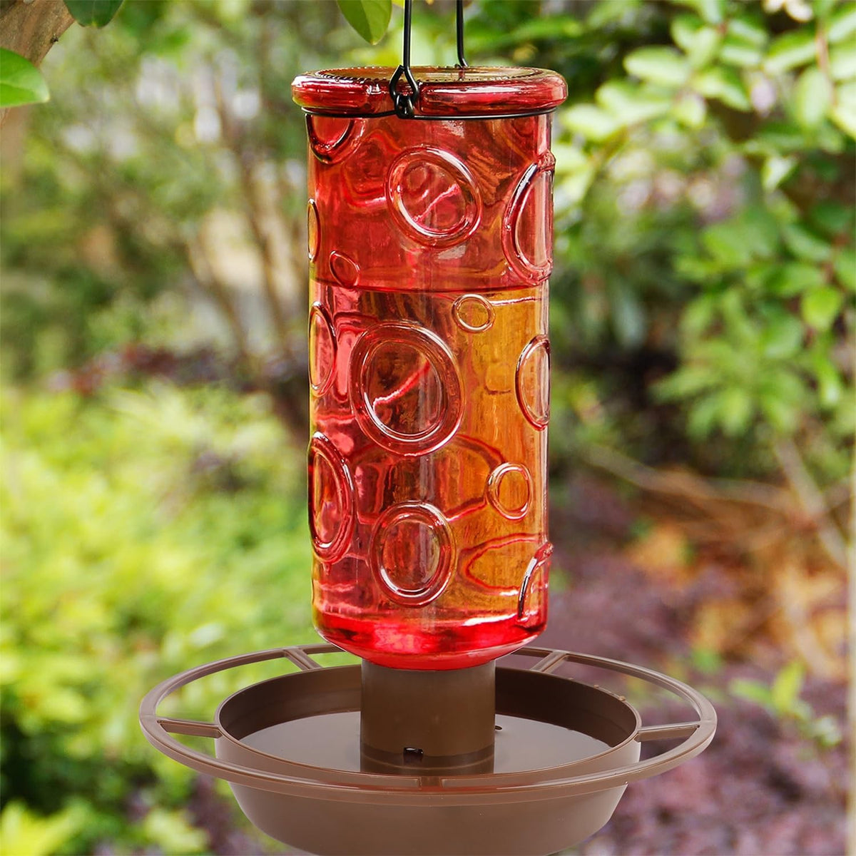 Juegoal glass waterer provides a clear view to monitor water levels.