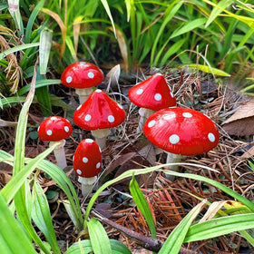 Juegoal red mushroom garden decor adds playful color to beds.