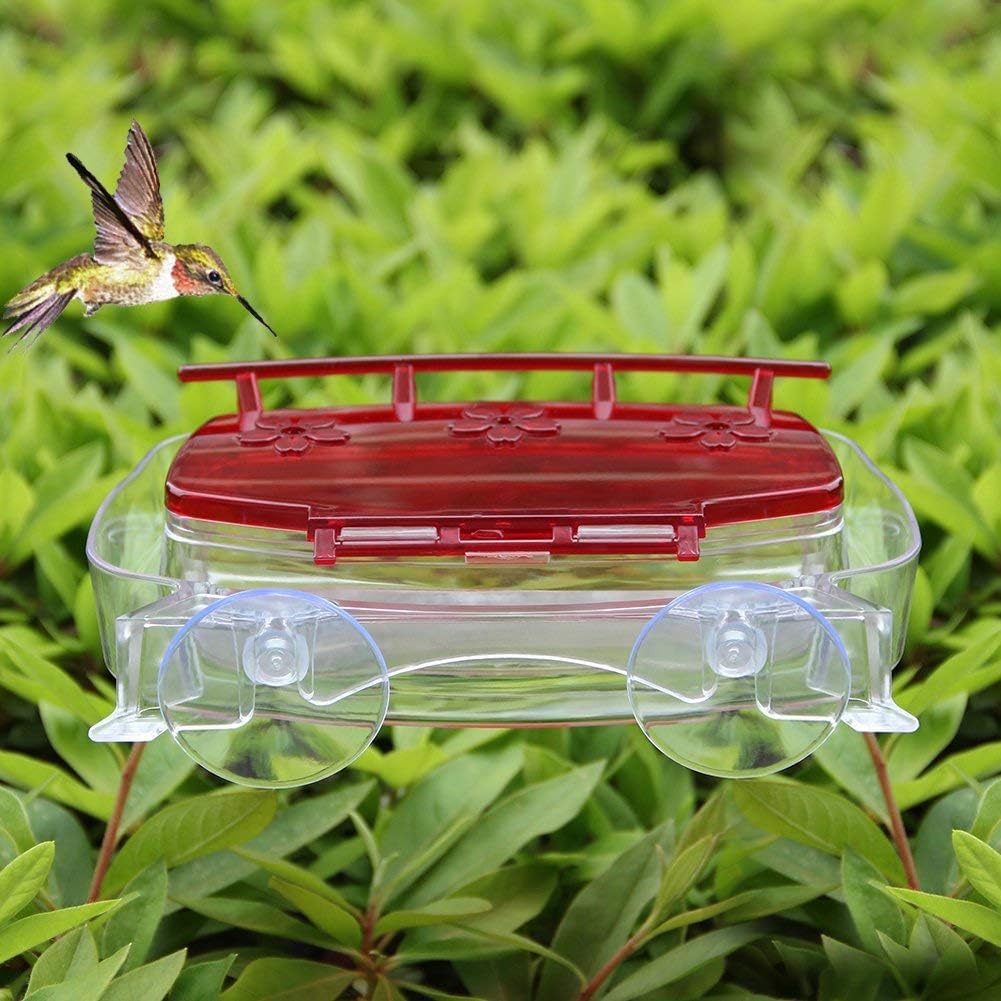 Juegoal moat design keeps insects out of the nectar.
