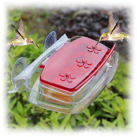 Juegoal window hummingbird feeder with red cover provides an unobstructed view for enjoying visits.