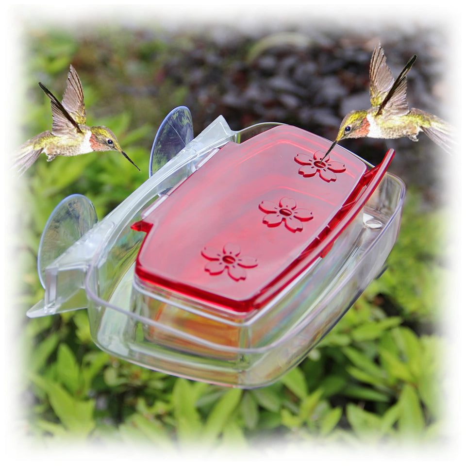 Juegoal window hummingbird feeder with red cover provides an unobstructed view for enjoying visits.