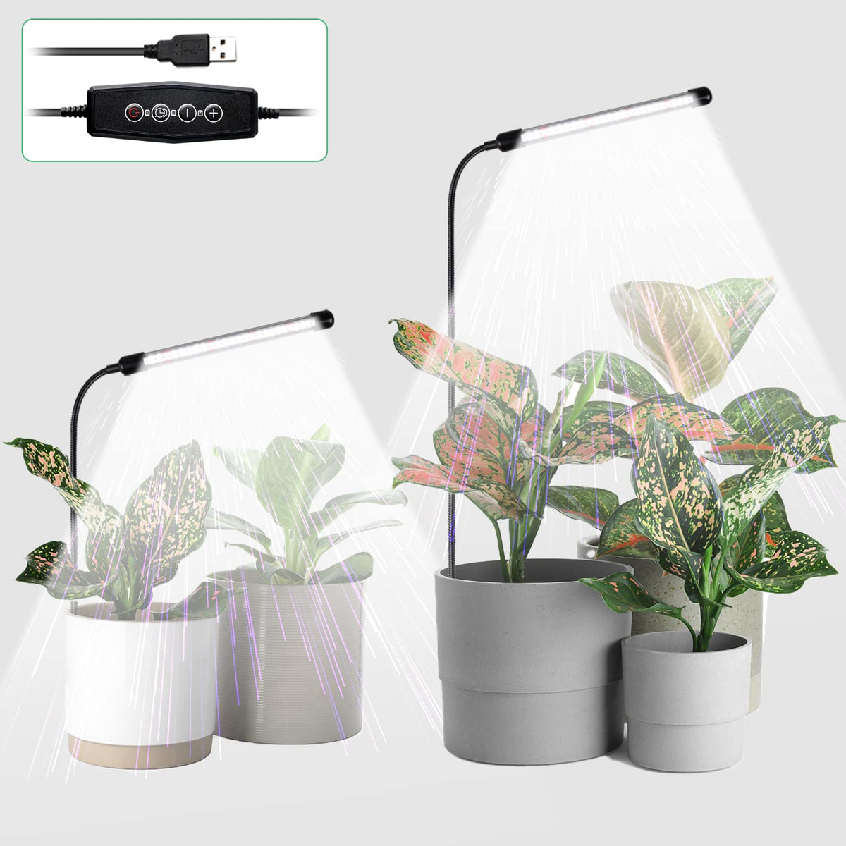 Juhefa Grow Light full spectrum 6000K boosts seedling growth and color accuracy.