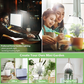 Juhefa Grow Light in-use seedling setup supports healthy starter growth.