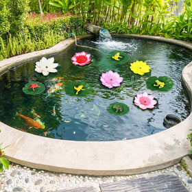 Juinte pool party favors offer whimsical accents for gatherings.
