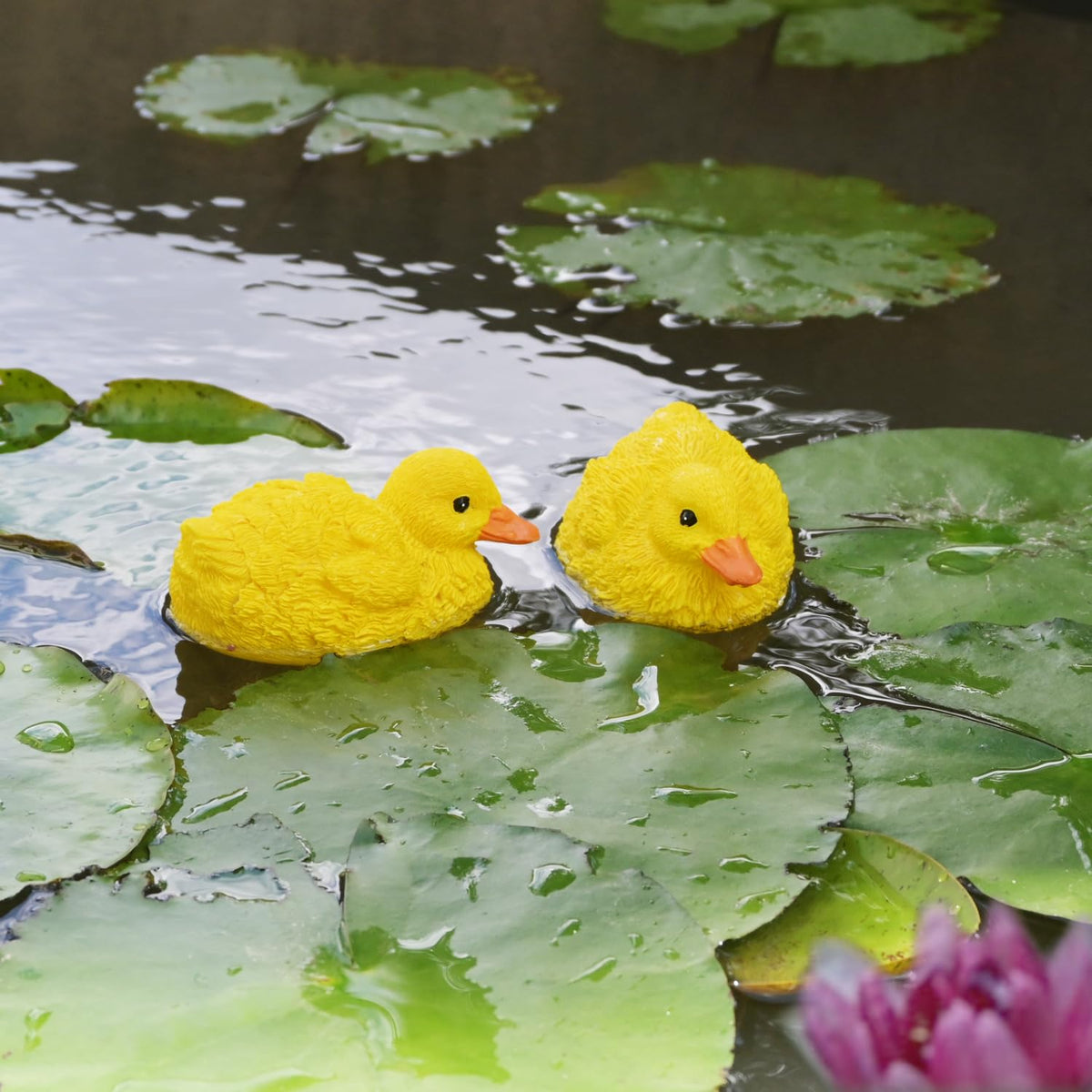 Juliahestia outdoor duck statue floats, enhancing garden decor