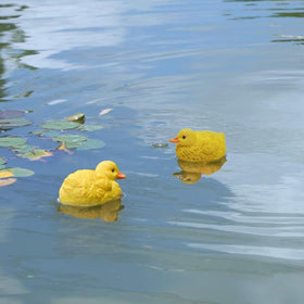 Juliahestia resin duckling figurine is weatherproof for outdoors