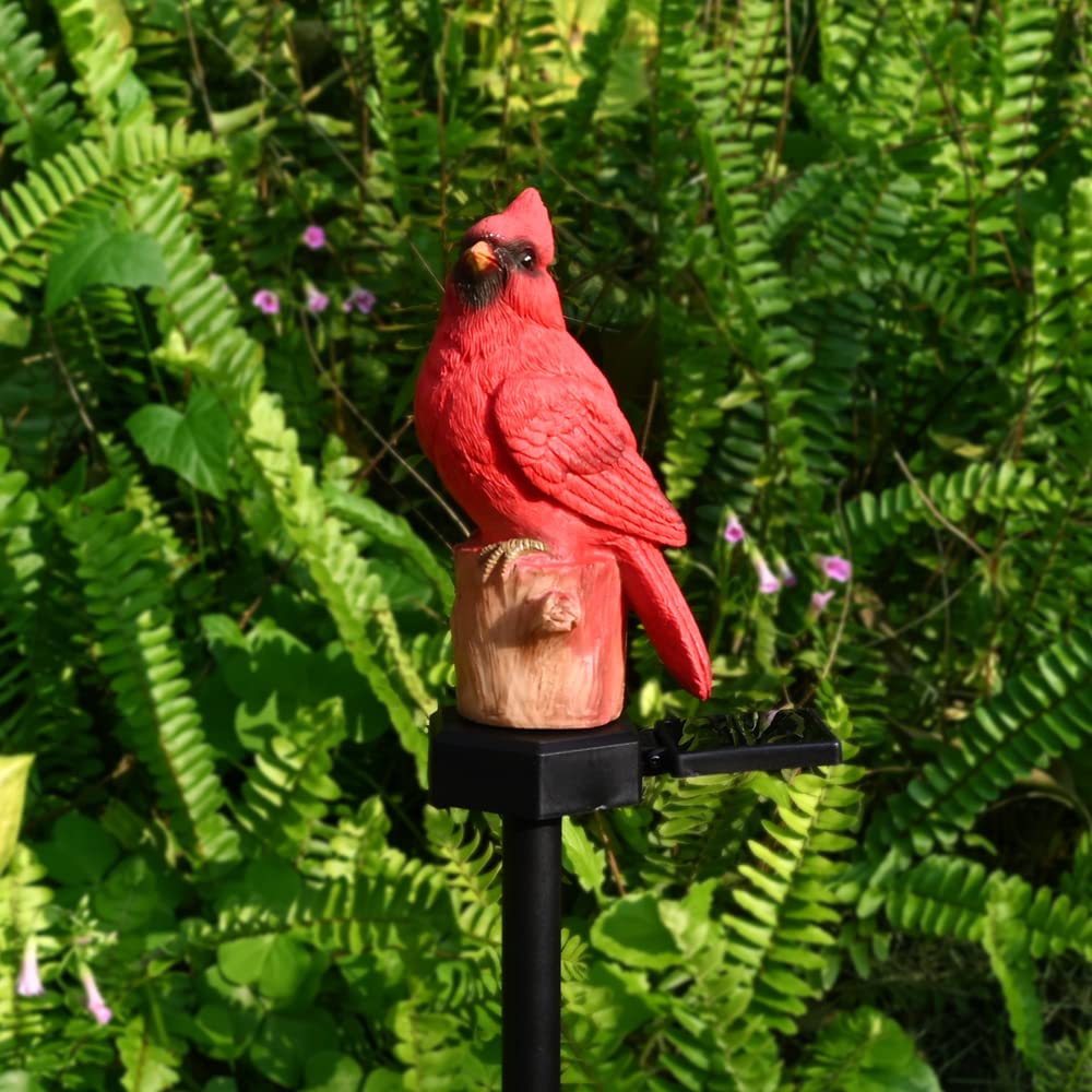 Juliahestia solar light outdoor bird statue enhances pathways with easy, wire-free installation.