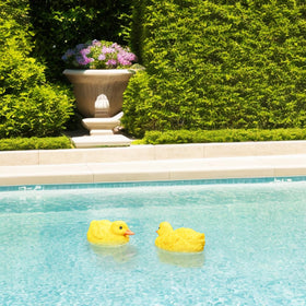 Juliahestia yellow duckling makes a playful outdoor gift