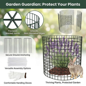 Julyxi assembled seedling cages around young plants for quick protection