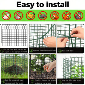 Julyxi vegetable seedlings protected by sturdy cages for growth