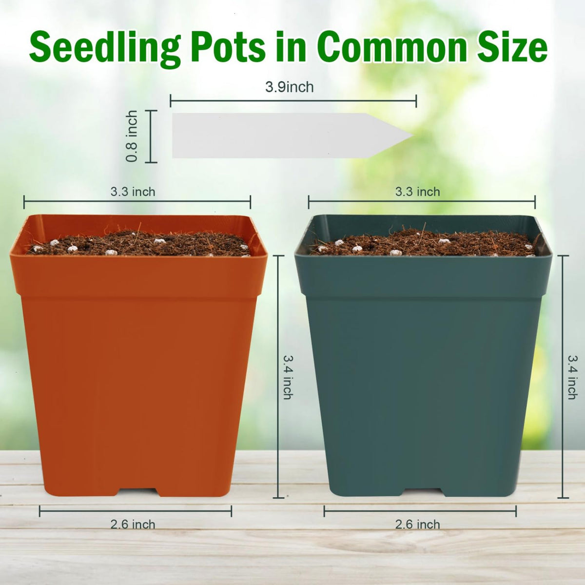 June Fox 100-pack with plant labels organized seedling setup