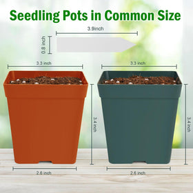 June Fox 100-pack with plant labels organized seedling setup