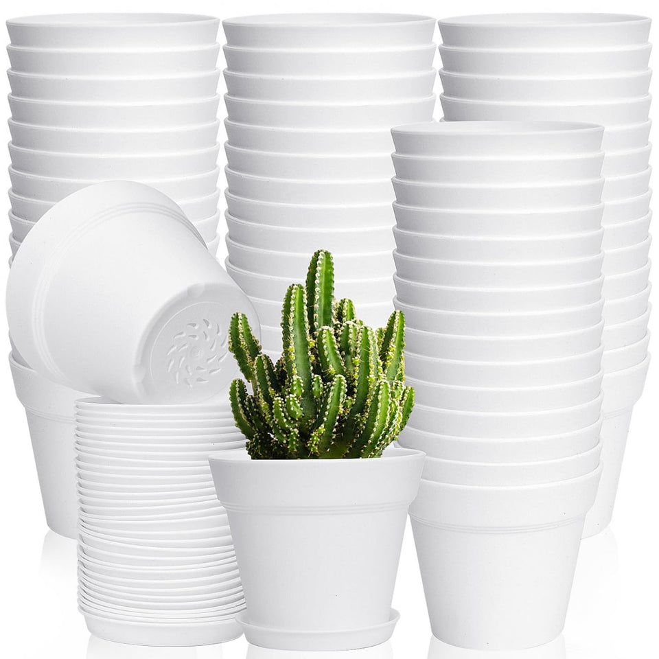 June Fox 60-pack indoor 4-inch plant pots with drainage and saucers for easy care