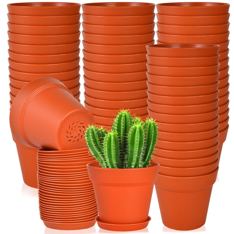 June Fox 60-pack pot with drainage holes promotes proper watering and soil drainage