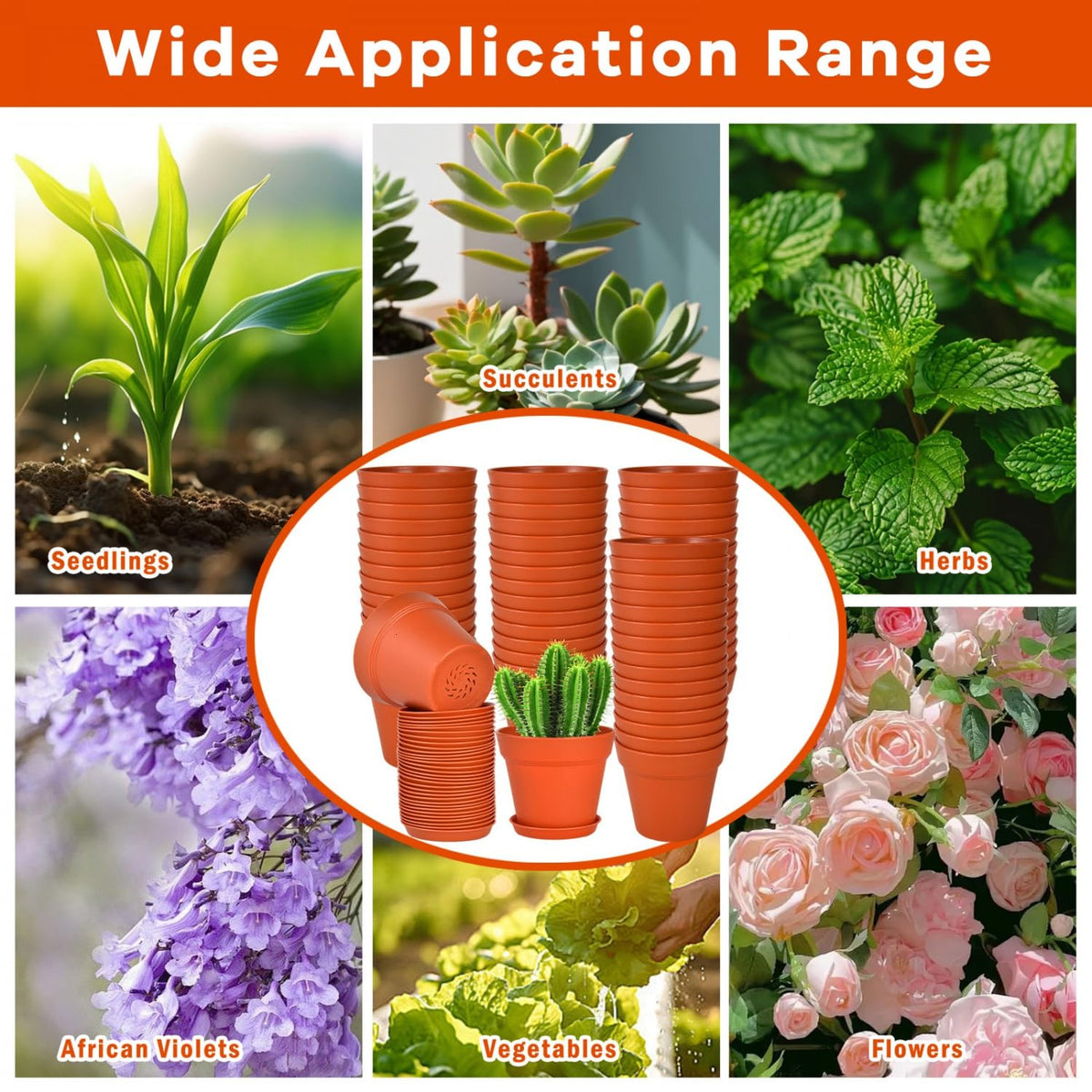 June Fox pot is ideal for herbs, seedlings, and seed starting on desks