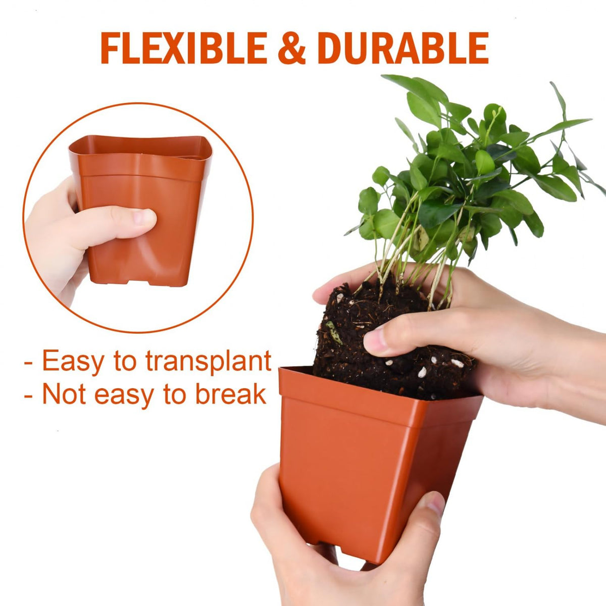 June Fox pot closeup highlights eight inlaid drainage holes for efficient watering.