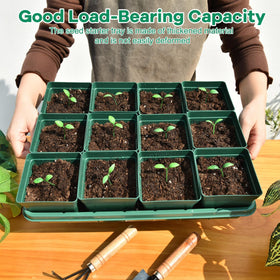 June Fox durable seedling kit materials resist cracking for repeated seasonal use.