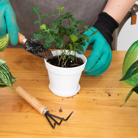June Fox durable plastic planter designed for long-lasting indoor and outdoor use
