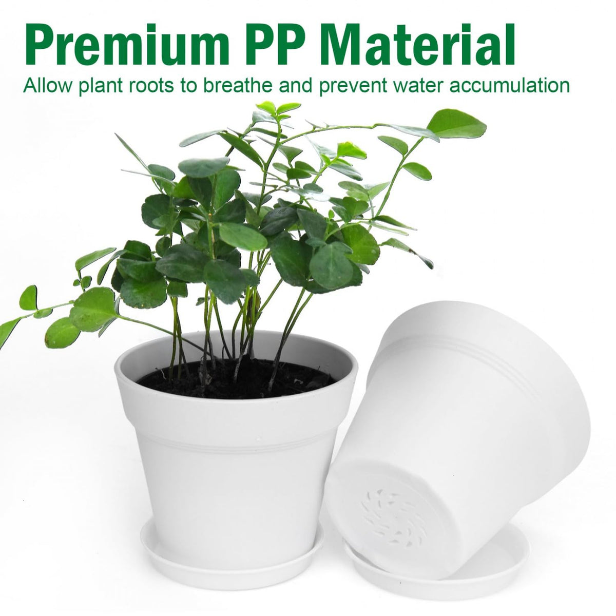 June Fox easy-clean pots made from wipe-clean PP material