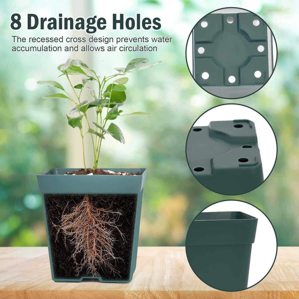 June Fox flexible plastic seedling pot ready for easy removal.