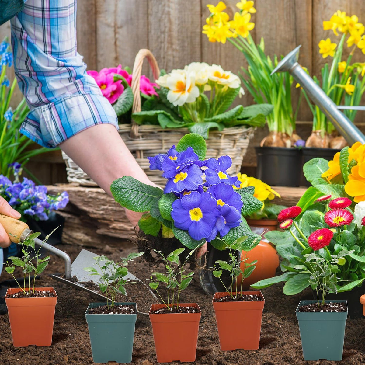 June Fox garden use scenario with pots and seedlings outdoors