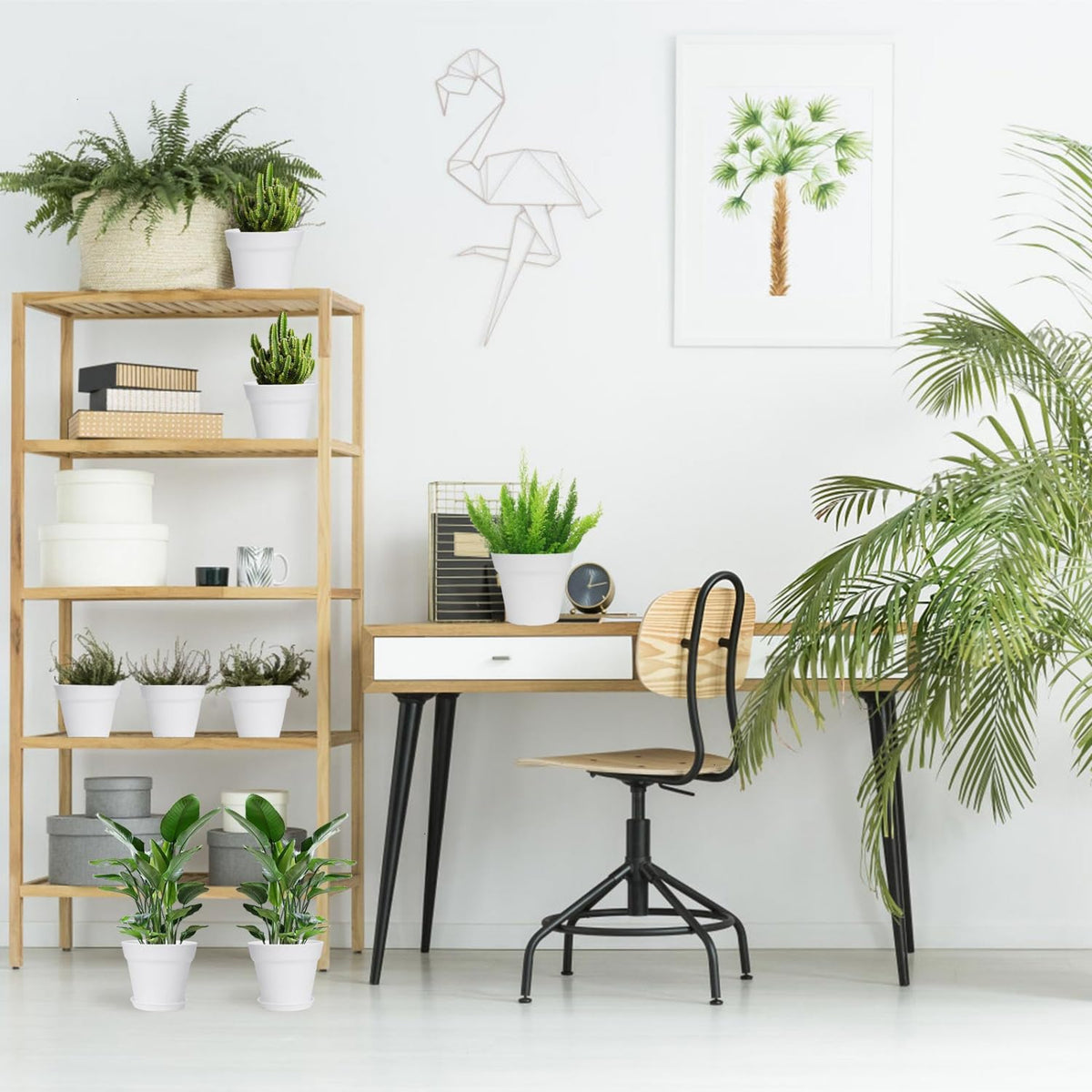 June Fox gift-ready indoor plant pots set for gardening lovers