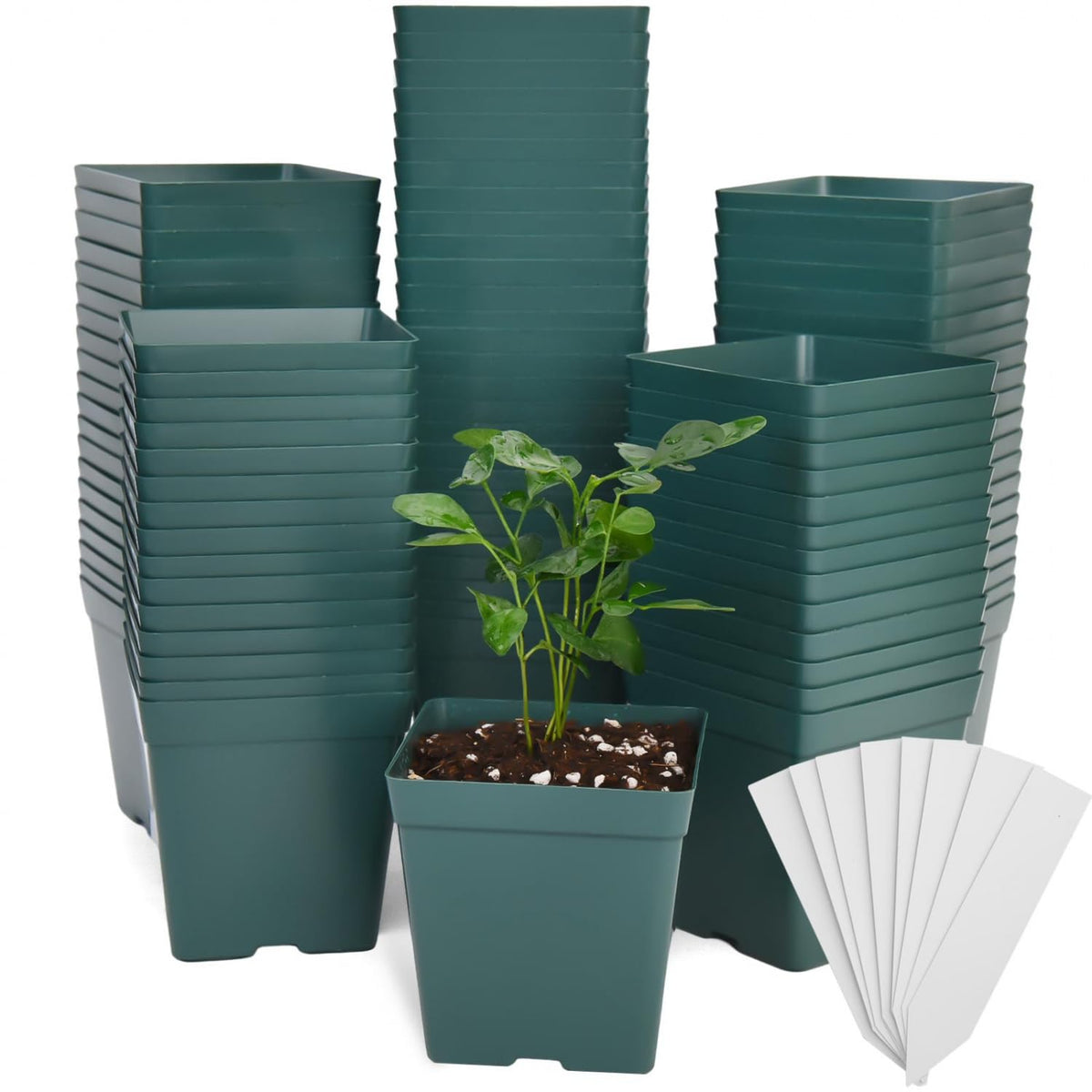 June Fox green square nursery pot with 3.3-inch opening for seedlings.