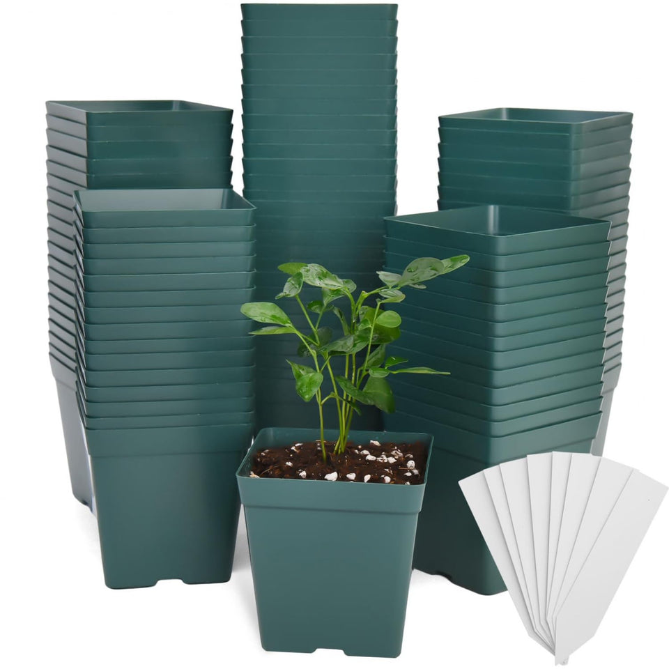 June Fox green square nursery pot with 3.3-inch opening for seedlings.