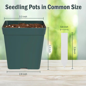 June Fox pot showing eight drainage holes for healthy root airflow.