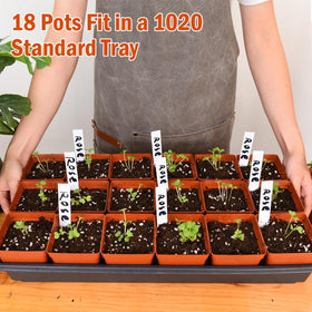 June Fox nursery pots are ideal for greenhouse to outdoor planting and displays.