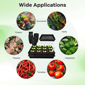 June Fox plant labels help distinguish varieties with clear markers.