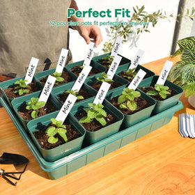 June Fox plant labels with 60-count data for variety tracking.