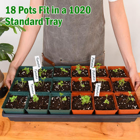 June Fox pots fit neatly on a 1020 flat for space saving