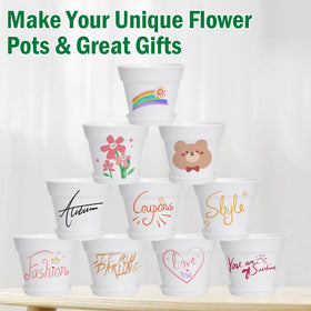 June Fox ready-to-grow succulents and flowers in small pots