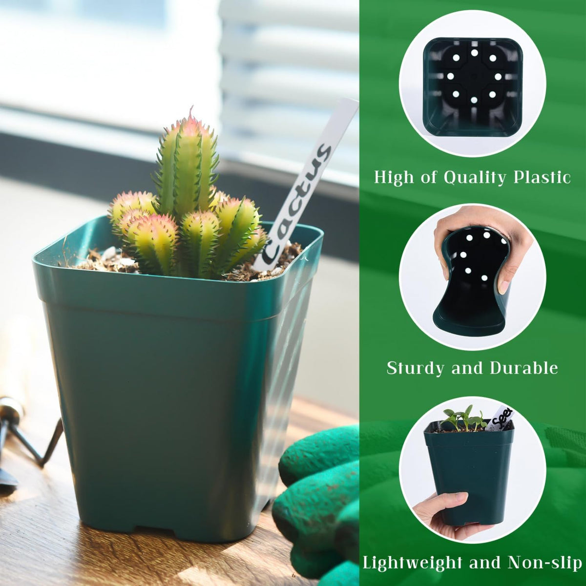 June Fox seedling pot 4-inch green ideal for easy transplant without disturbing roots.