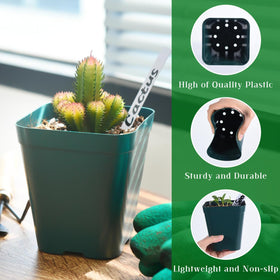 June Fox seedling pot 4-inch green ideal for easy transplant without disturbing roots.