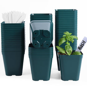 June Fox seedling pot 4-inch green with stackable design for space-saving storage and reuse.